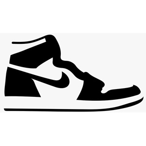 Air Jordan 1 Shoes